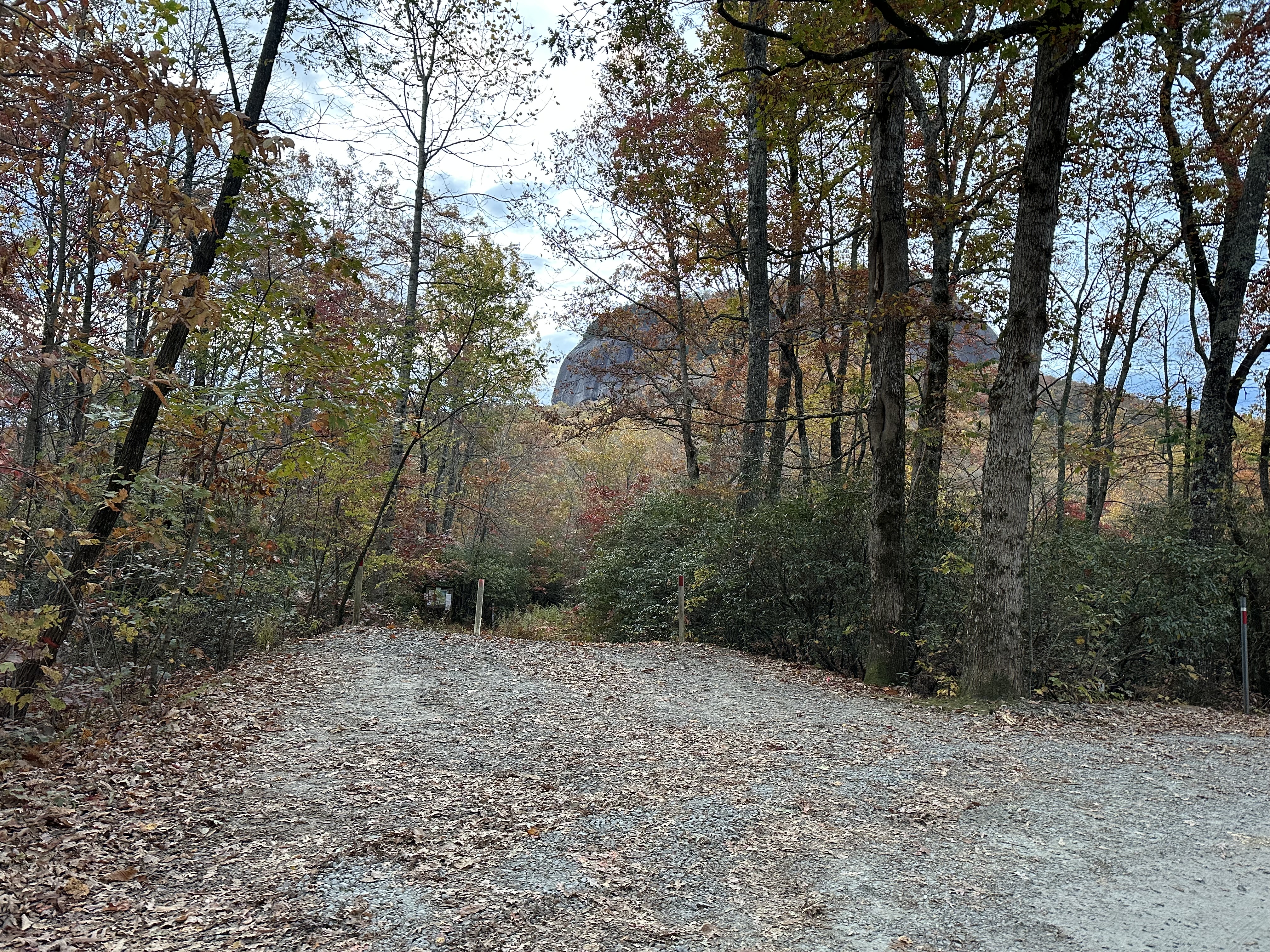 Tiny figure against a vast mountain vista, Pisgah National Forest