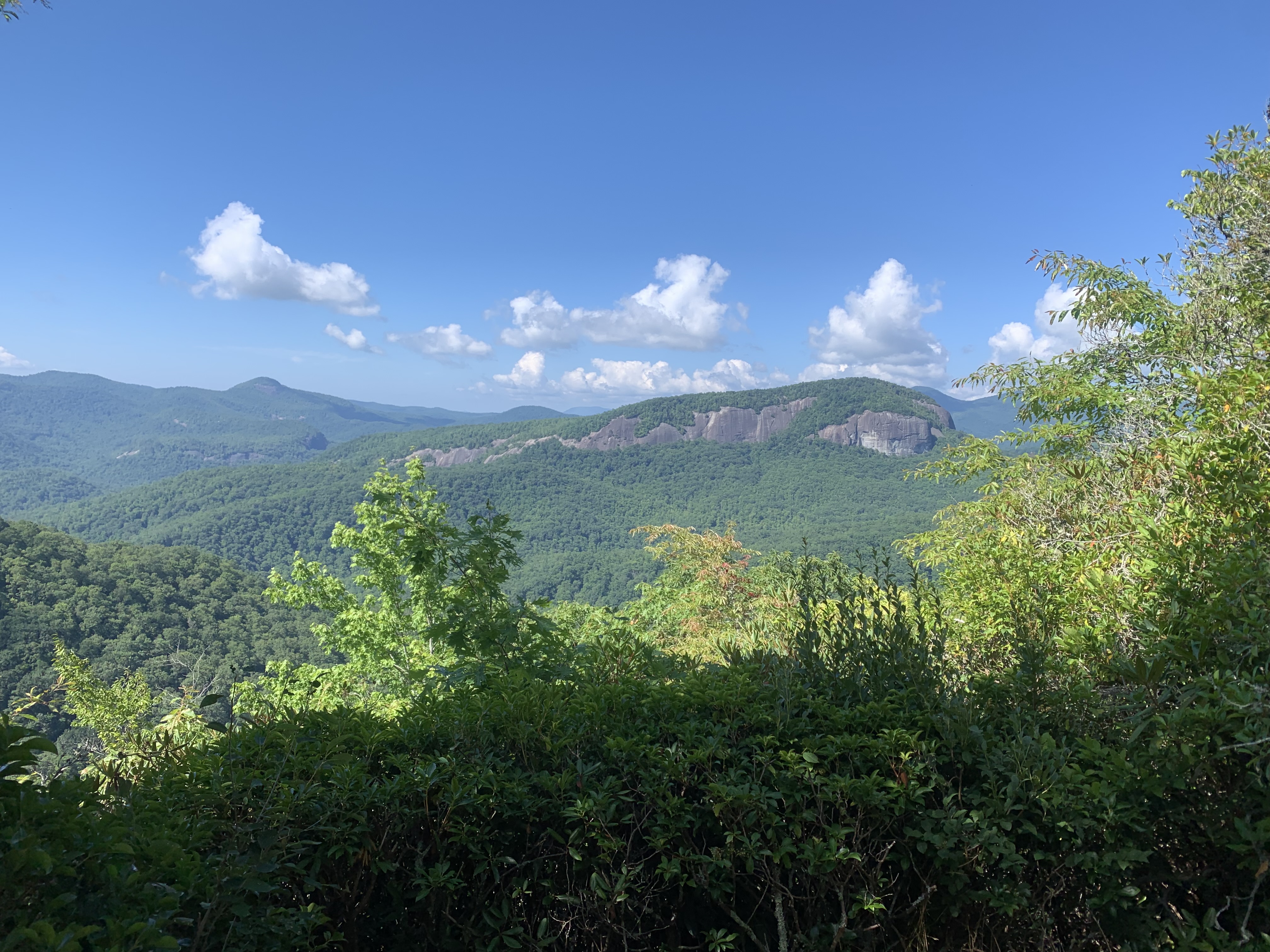 Trail running through the North Carolina mountains